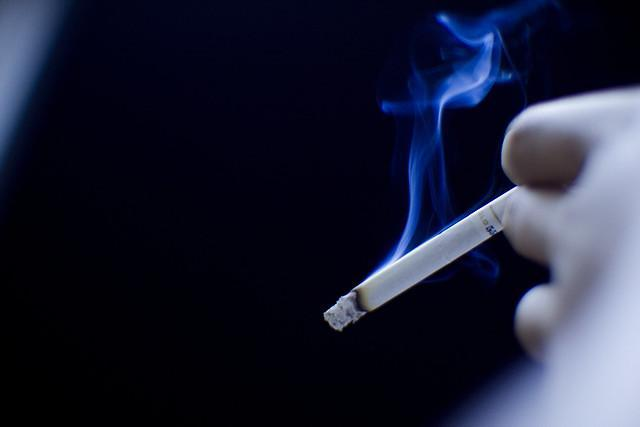 越南肯特斯维奇深度调查