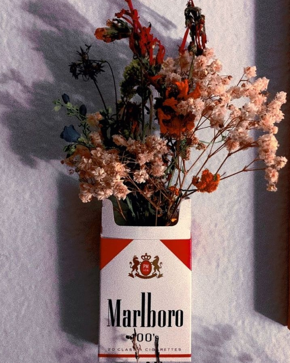 Marlboro Cigarettes Ranked: Bold Flavors You’ll Crave