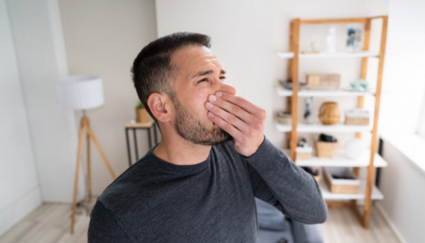 Least Smelling Cigarettes Reveal Shocking Low Odor Secrets image 152