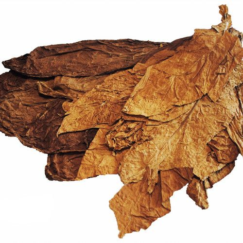 Is Drum The Original Tobacco the Ultimate Beginner's Choice? image 94
