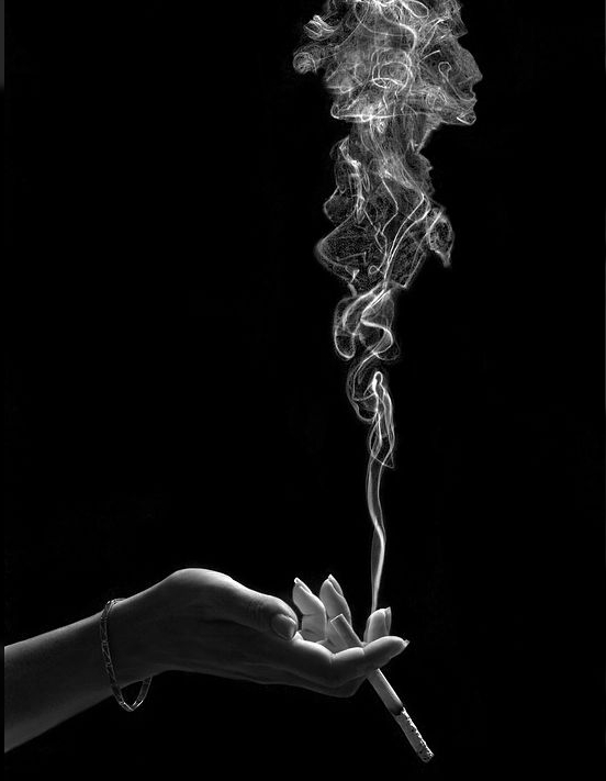 Kent vs Mevius in Vietnam Which is the Best Cigarette