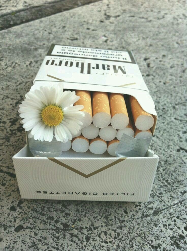 Indulge in Marlboro Platinum Cigarettes: A Premium Choice image 108