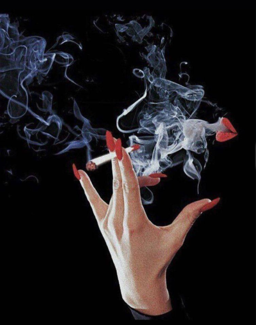 Which Cigarette Flavor Suits You Best? A Beginner's Guide to Choosing the Right Brand image 19