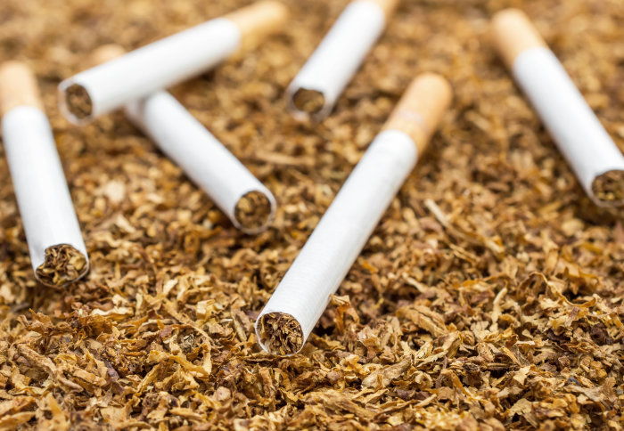 Cigarette Flavor Map: From Light to Bold — Find Your Perfect Match image 29