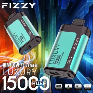 Fizzy Luxury 15000 Puffs LCD Screen Bulk