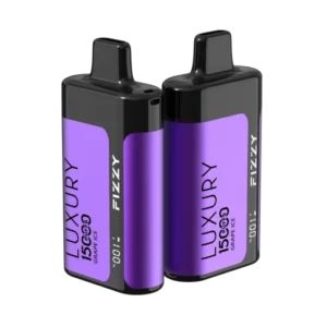 Fizzy Luxury 15000 Puffs Disposable Vape – Online Sales