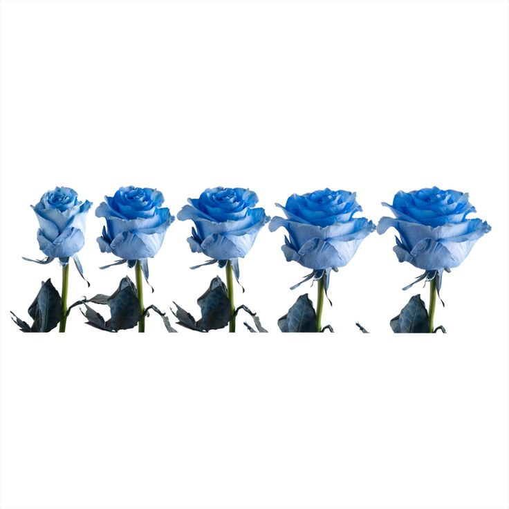 Manchester Sapphire Blue Premium Cigarettes Smooth Taste