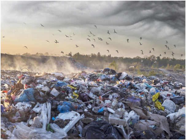 The Environmental Impact of Uwin Tornado Triple 60K image 78