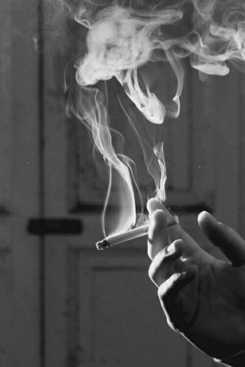 How to Choose Between Benson and Hedges Special Filter and Other Versions image 126