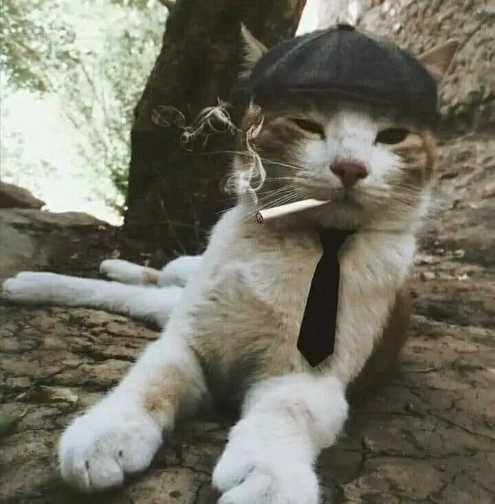 How to Determine Your Preference Based on the Color or Taste of a Special Filter image 130