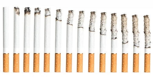 Winston vs Marlboro: Burn Rate and Smoking Pace Differences image 56