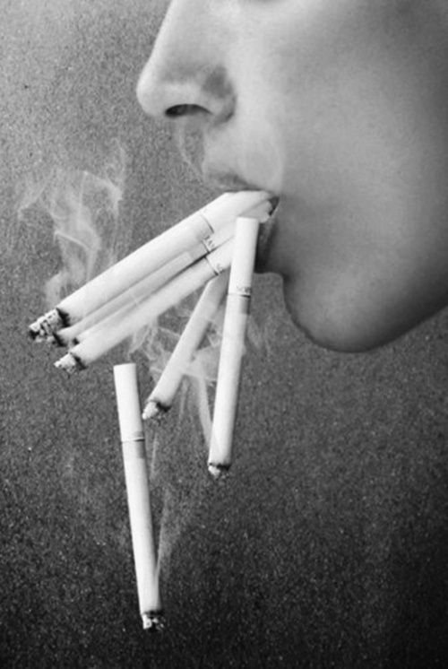 Davidoff Compact White Review: Taste, Strength, Smell (Neutral Guide) image 65