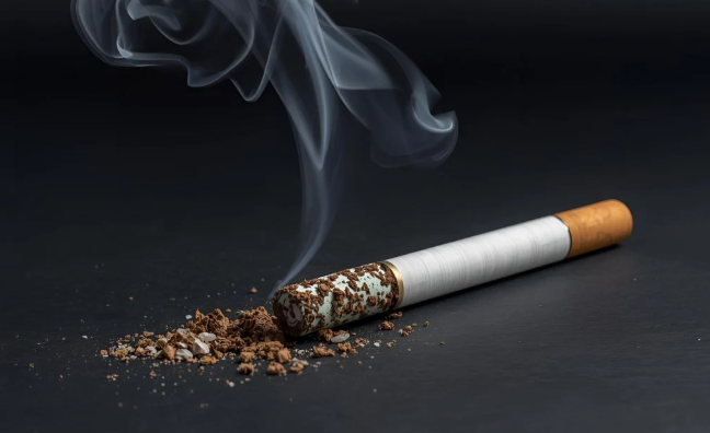 Cigarettes That Don't Stink: Do Slim Cigarettes Produce Less Odor? image 17