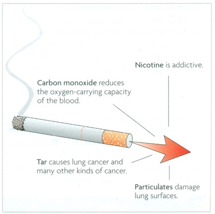 Cigarettes That Don't Stink: Are Menthol Cigarettes Less Noticeable? image 3