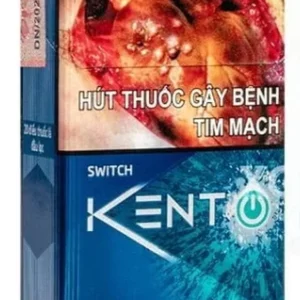 Vietnamese Kent Switch product image